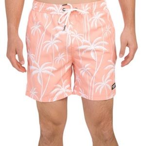 Island Haze Stretch Volley Swim Shorts w/Stretch Mesh Liner
